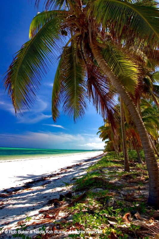 Down The Beach, Zanzibar