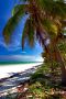 Down The Beach, Zanzibar