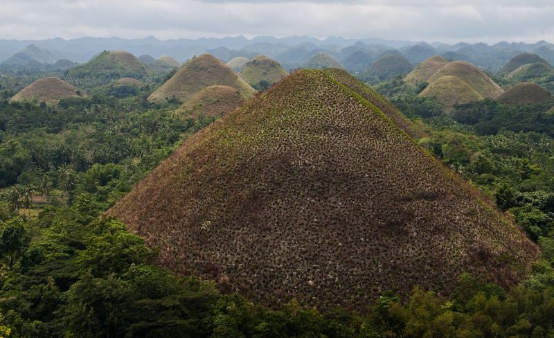 Chocolate Hills