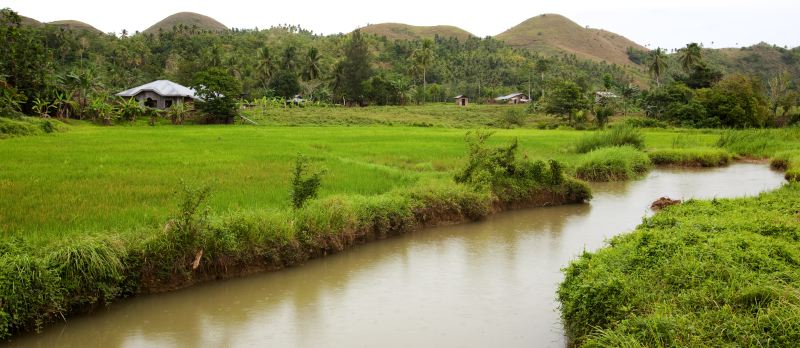 Bohol Landscape