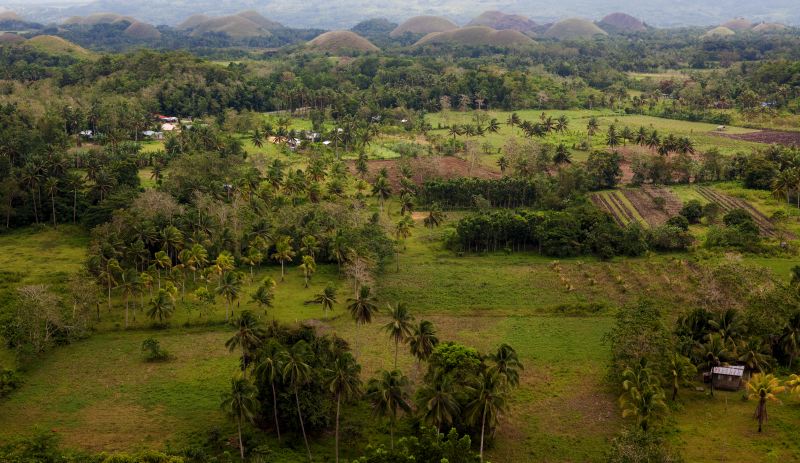 Bohol Landscape