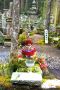 Shingon Buddhist Statue and Gravestones, Mount Koya, Wakayama Prefecture