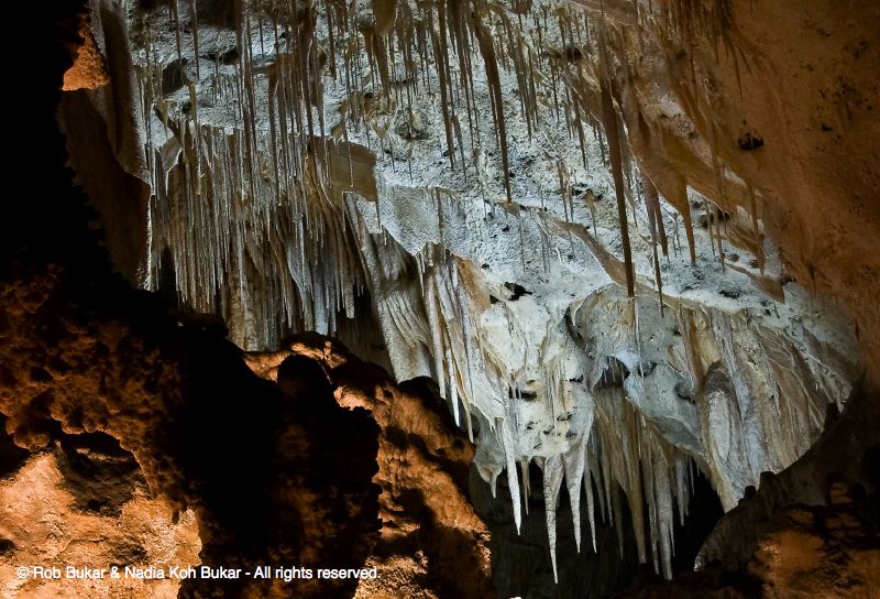 Face, Carlsbad Caverns