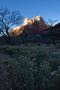 Early Morning Zion National Park