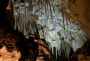 Face, Carlsbad Caverns